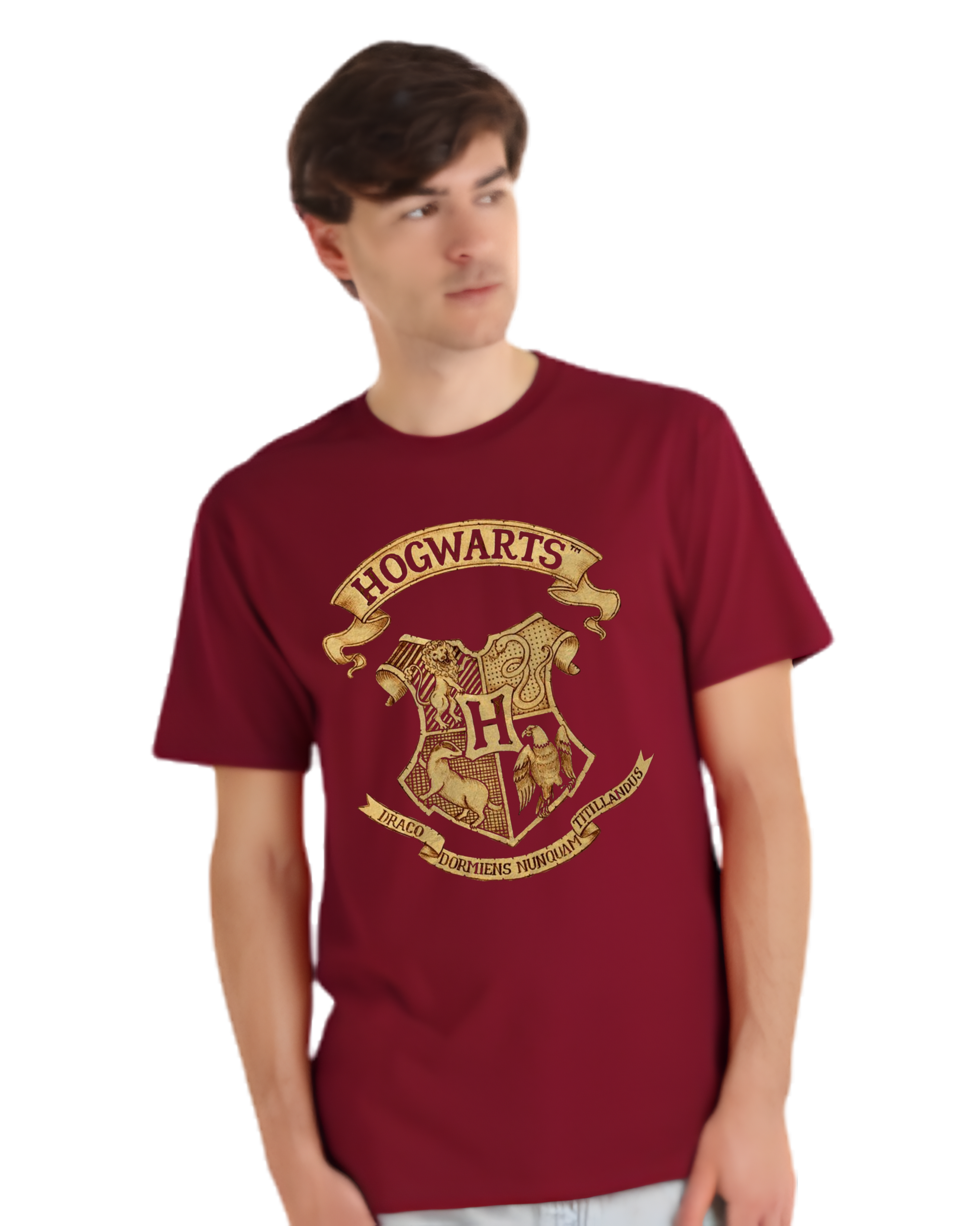 Polera Algodón Gryffindor Heritage Tee — Harry Potter