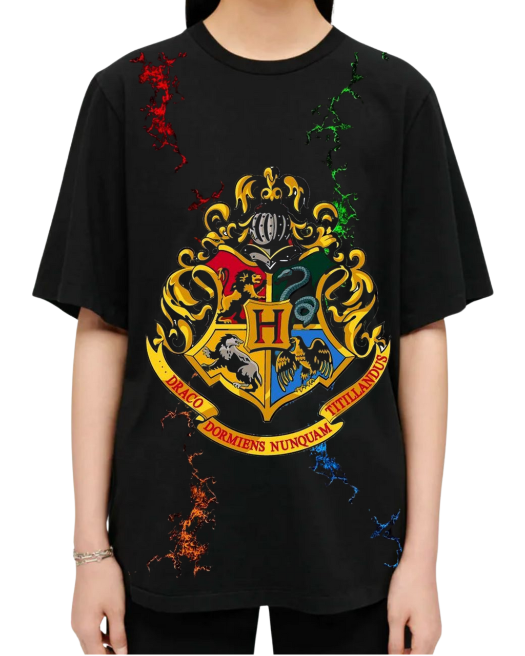 Polera Algodón Four Houses Power Tee — Harry Potter